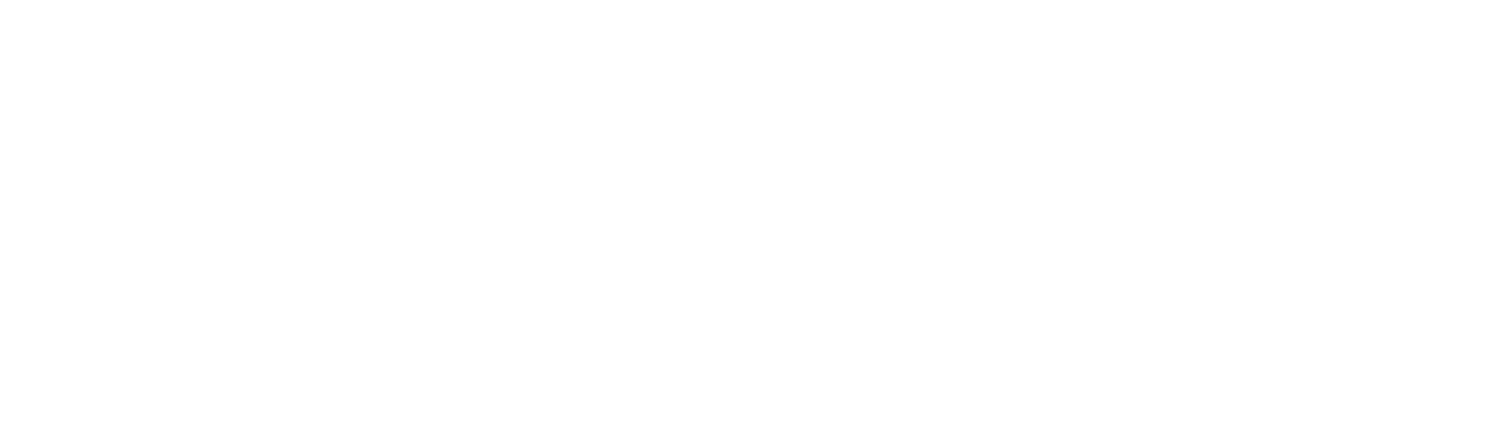 Fishbowl Digital official wordmark