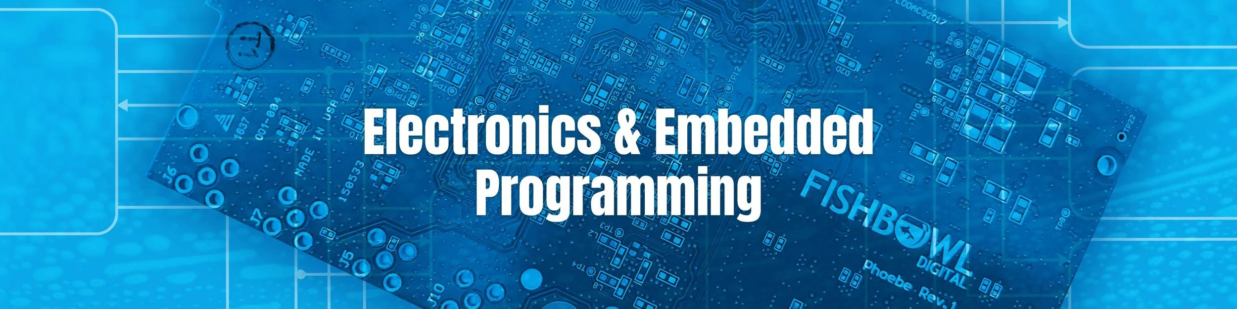 Electronics and embedded programming, from Fishbowl’s website